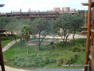 Savanna view 3
